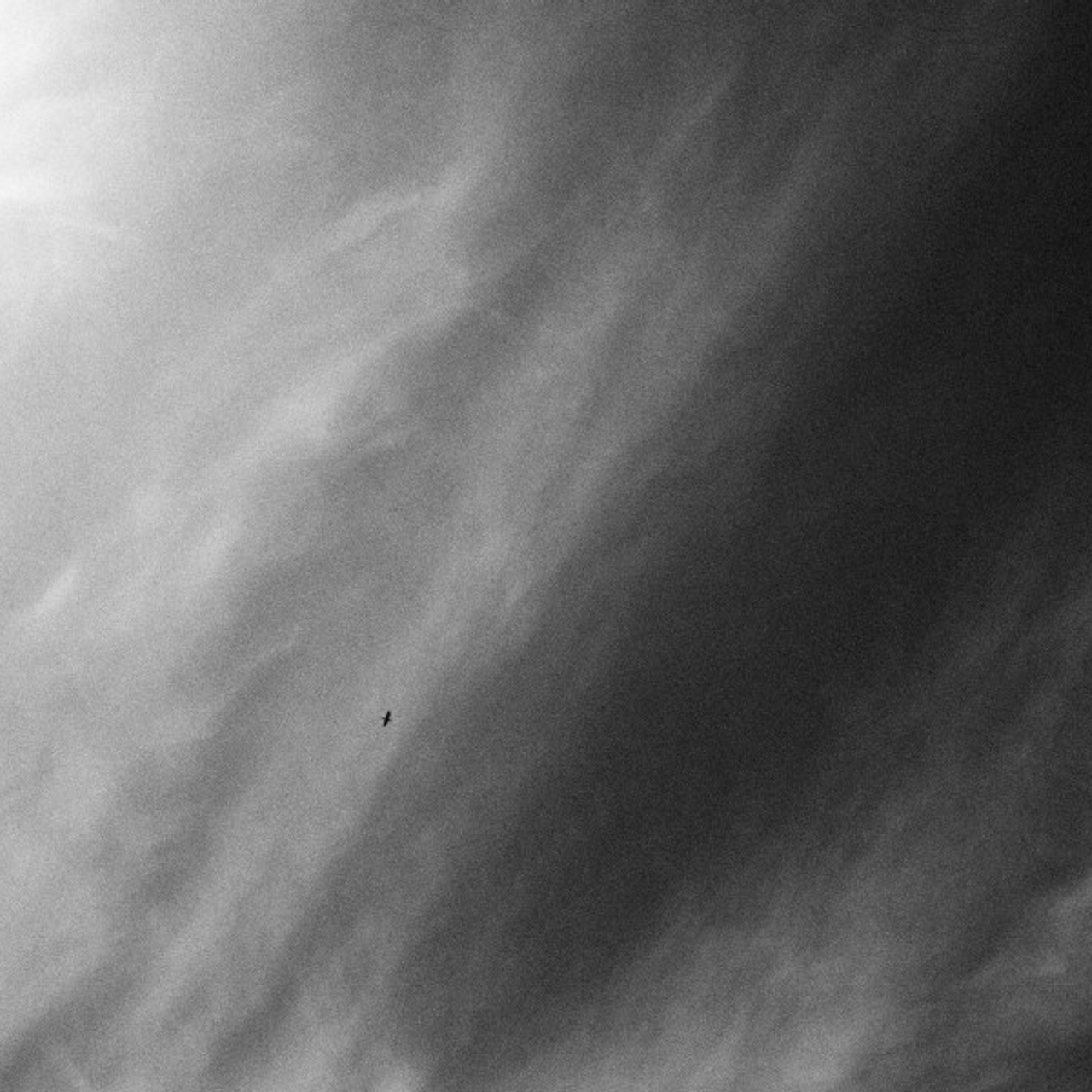 Baltic bw. Quiet photographic art