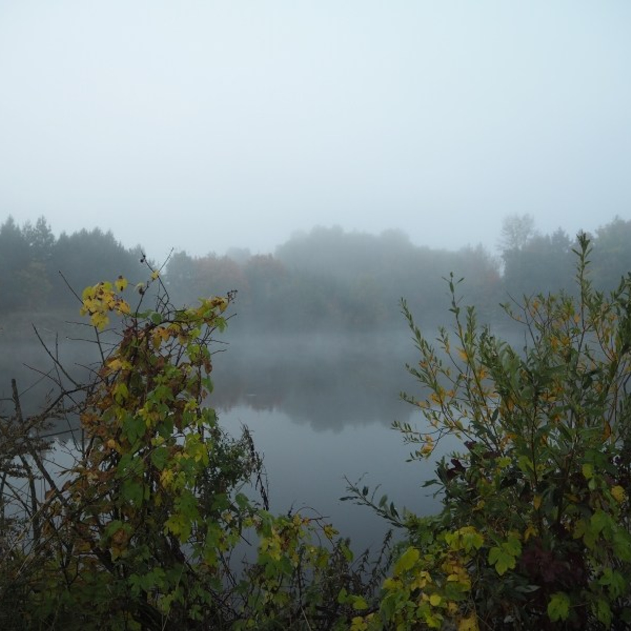 Dawn in a village. Quiet photographic art