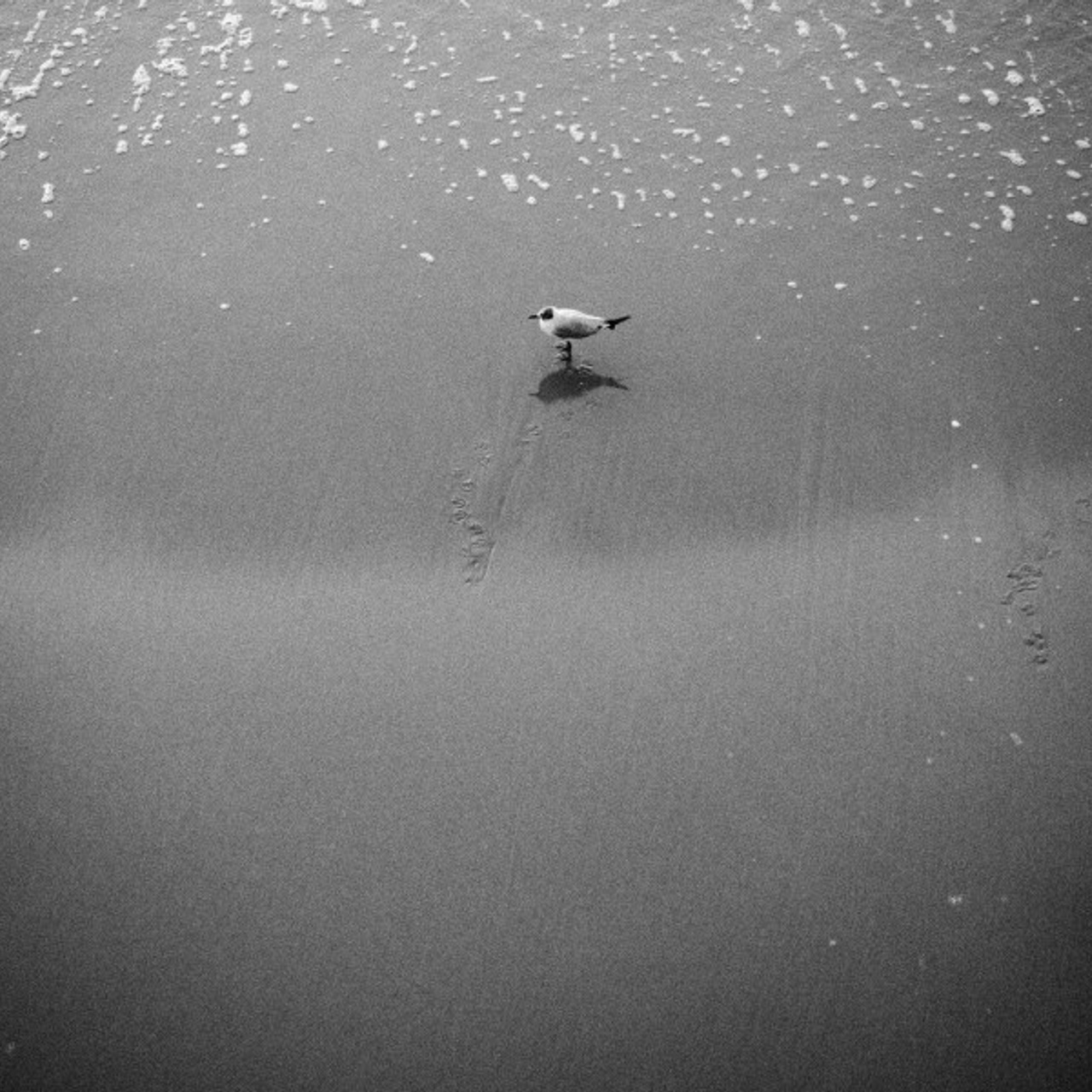 Baltic bw. Quiet photographic art