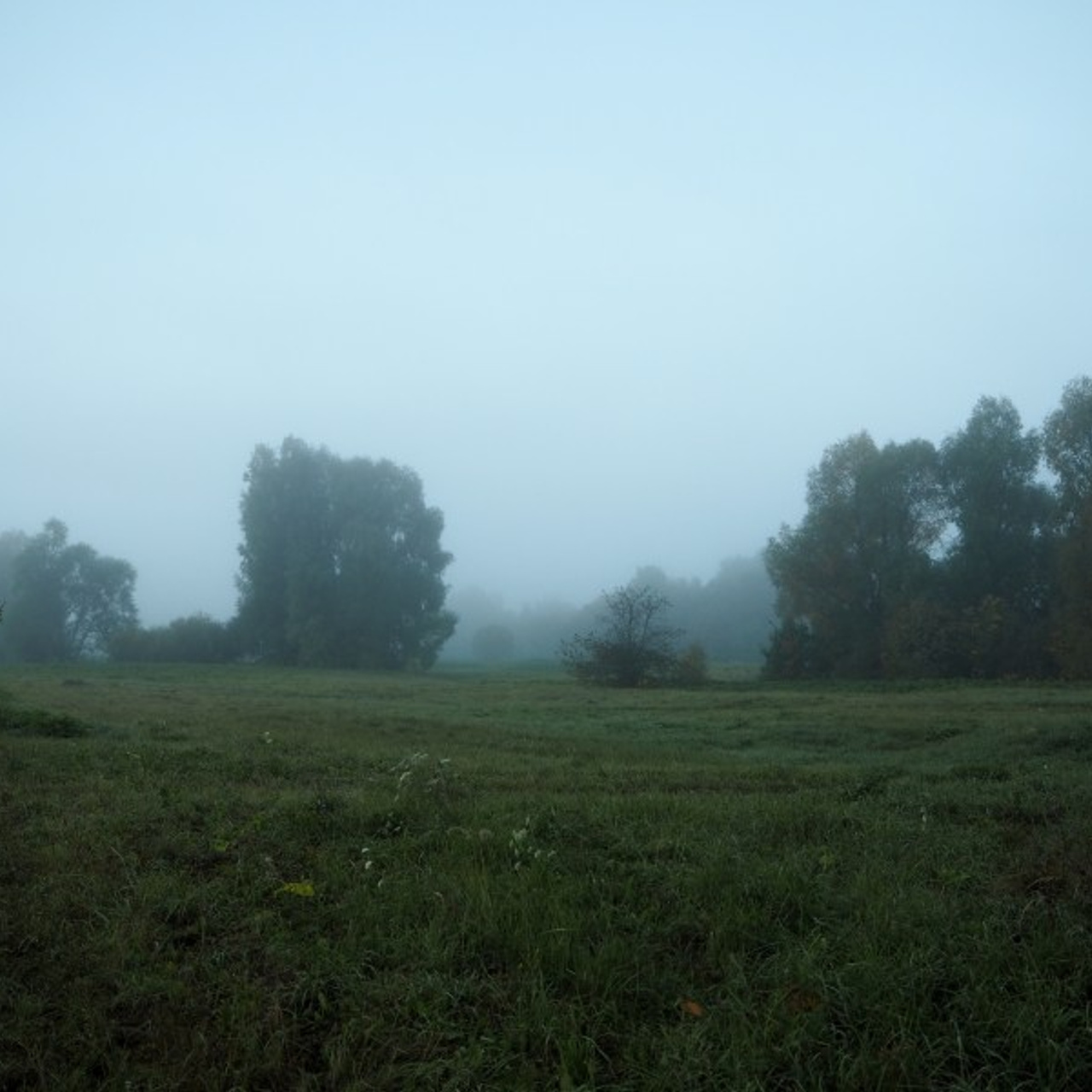 Dawn in a village. Quiet photographic art