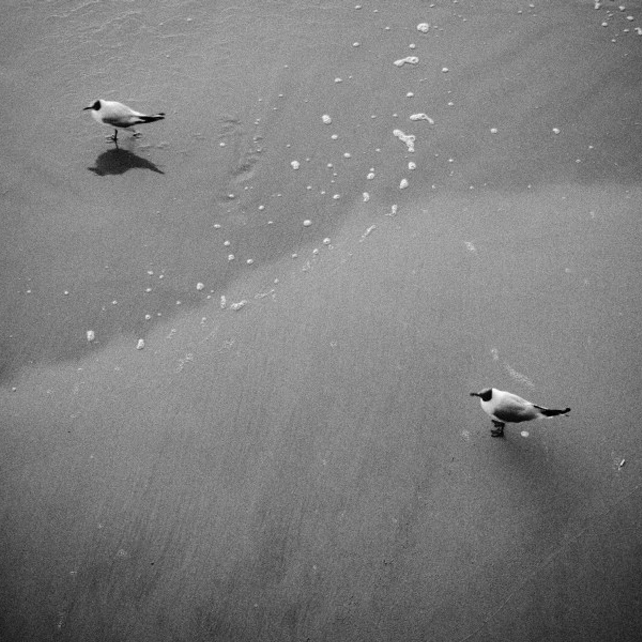 Baltic bw. Quiet photographic art