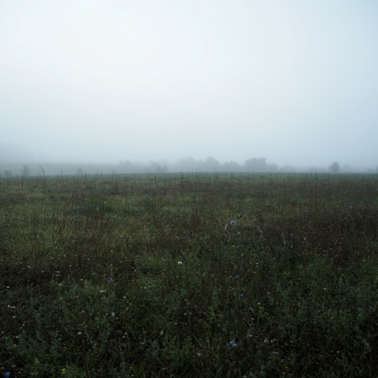 Dawn in a village. Quiet photographic art