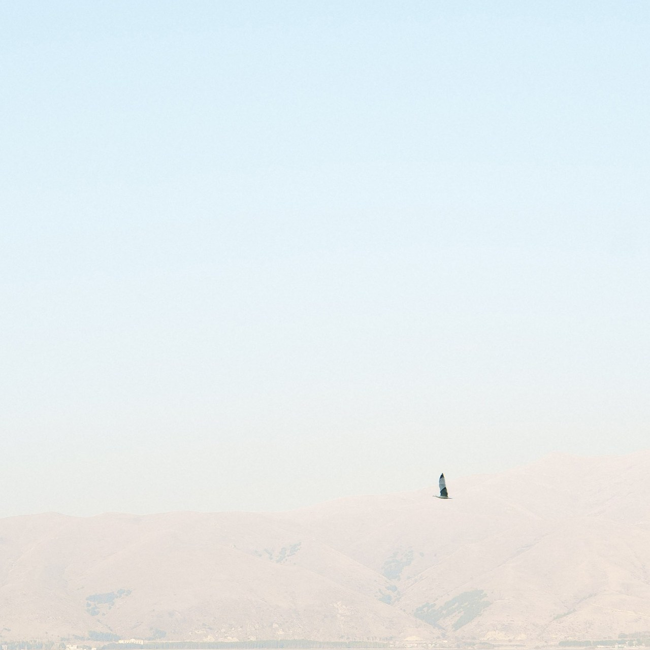 Отзывы. Свадебный фотограф Михаил Мирзоян