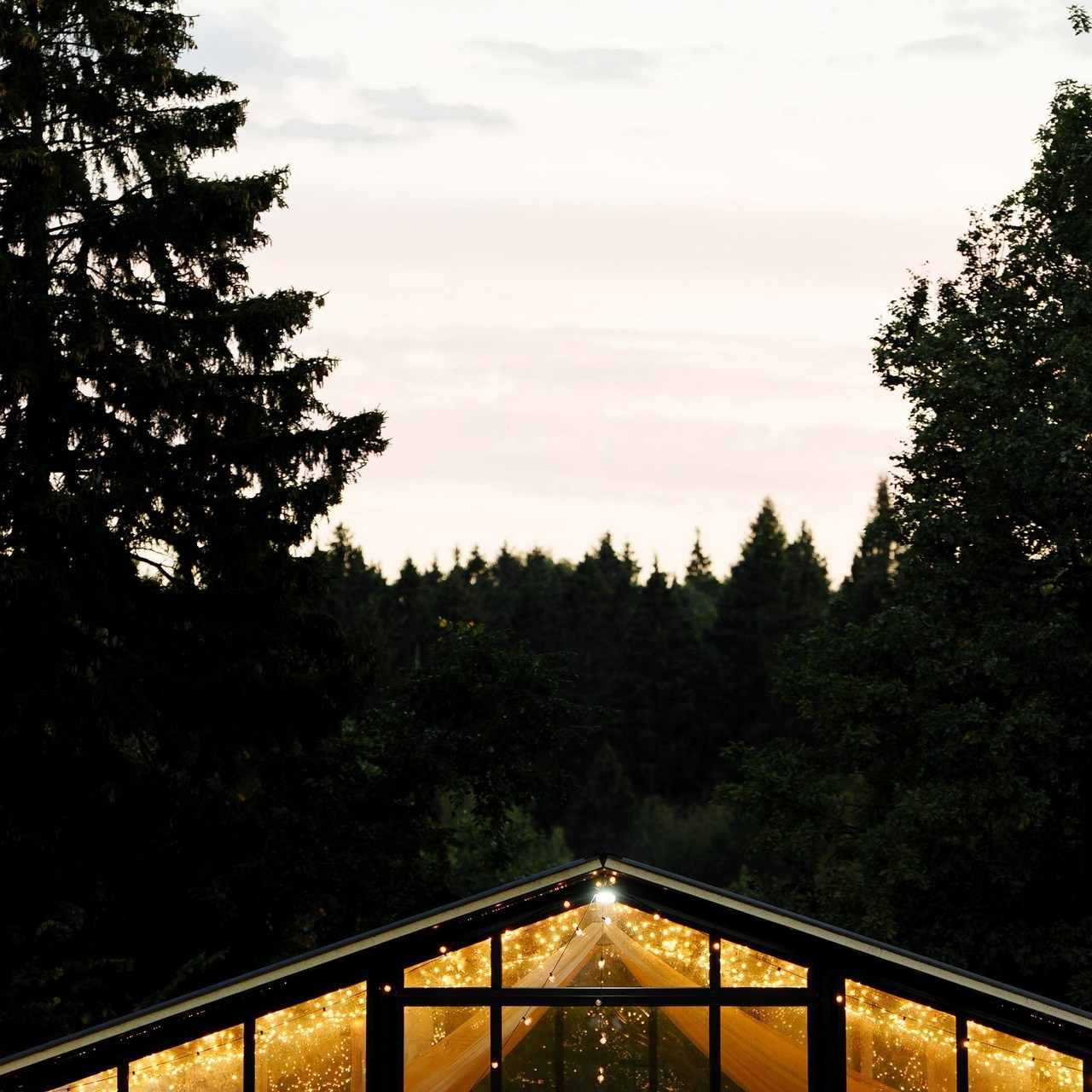 Отзывы. Свадебный фотограф Михаил Мирзоян