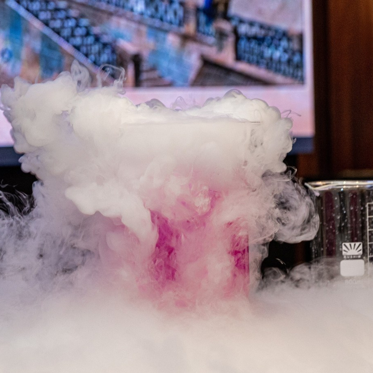 Отзывы. Фотограф в Санкт-Петербурге Закута Ольга