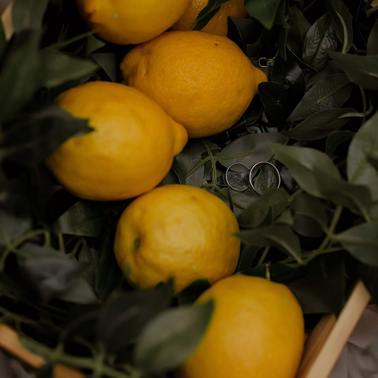 Отзывы. Свадебный фотограф