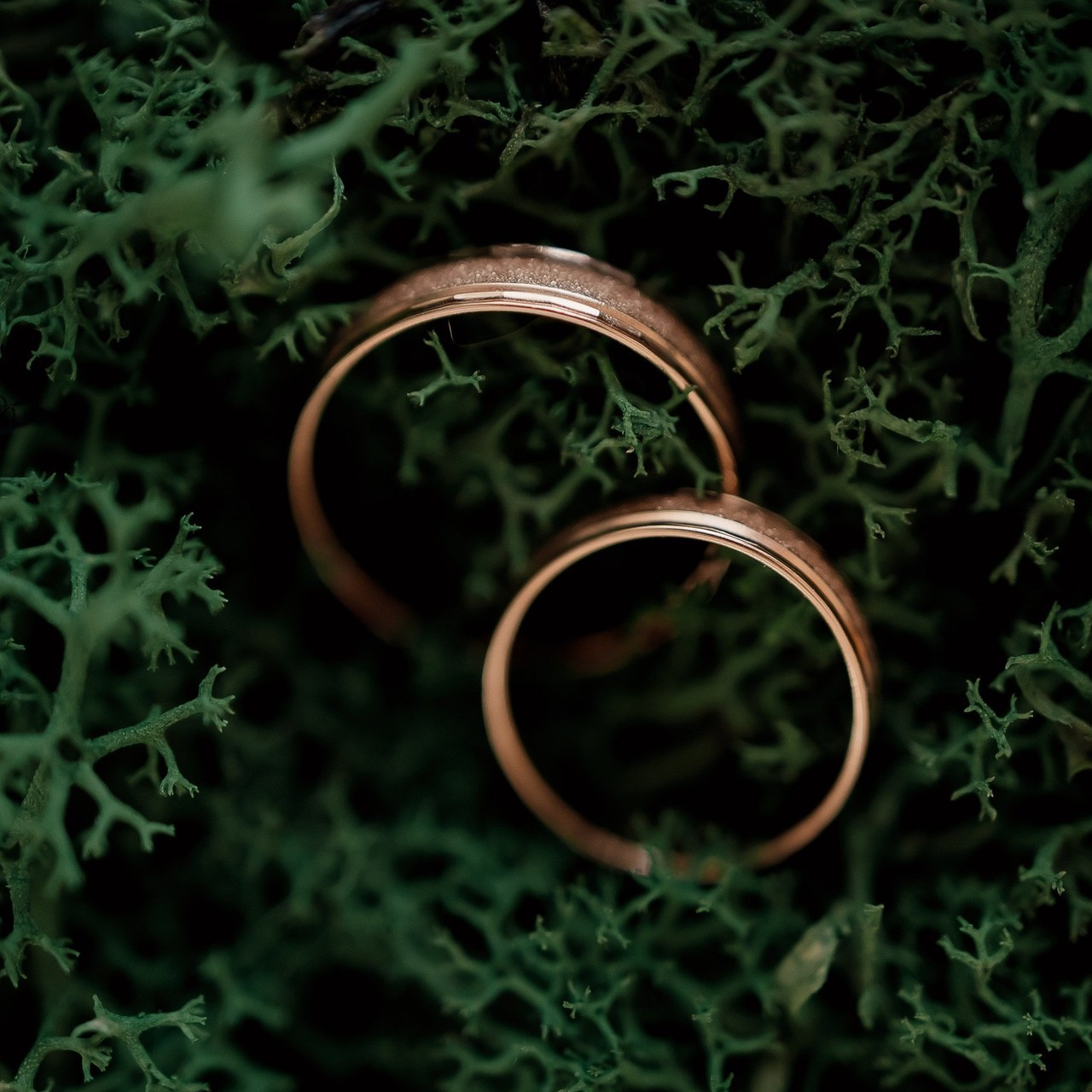 Отзывы. Свадебный фотограф