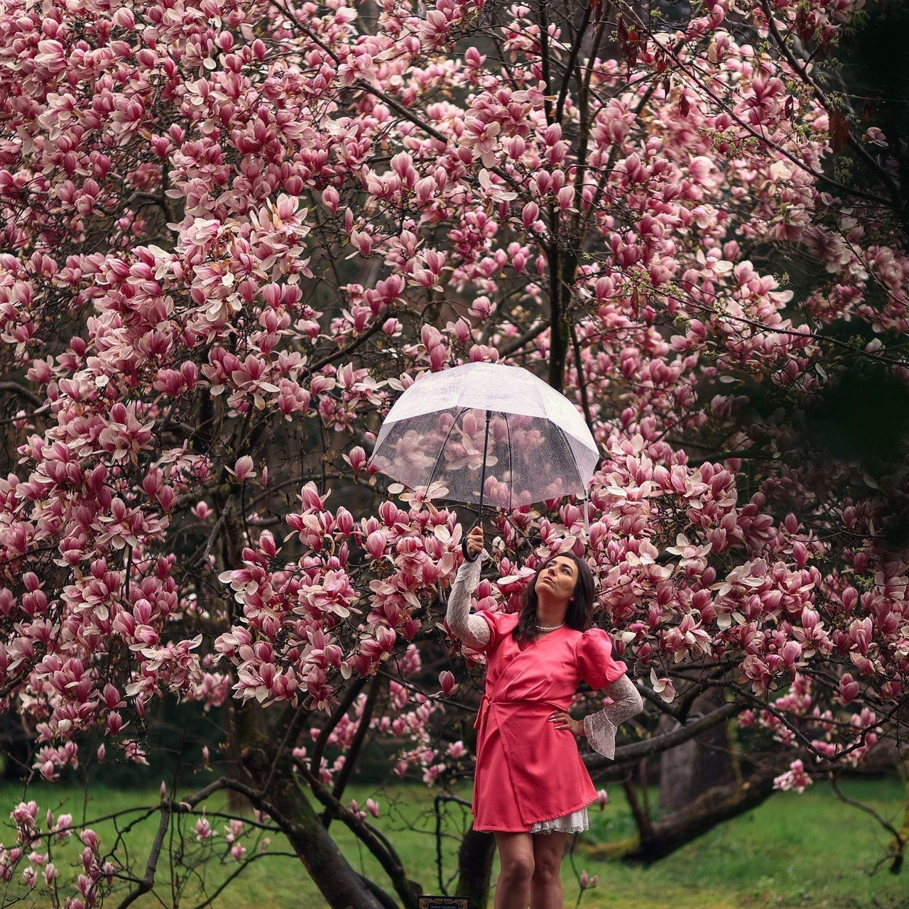 Отзывы. Фотограф в городе Сочи