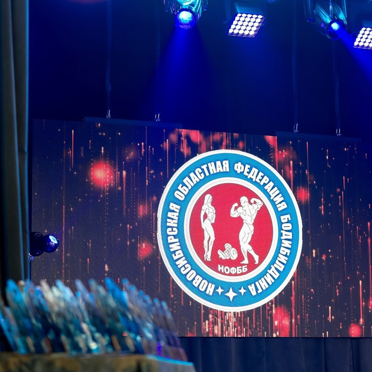 Отзывы. Фотограф Алина Ионычева в Новосибирске