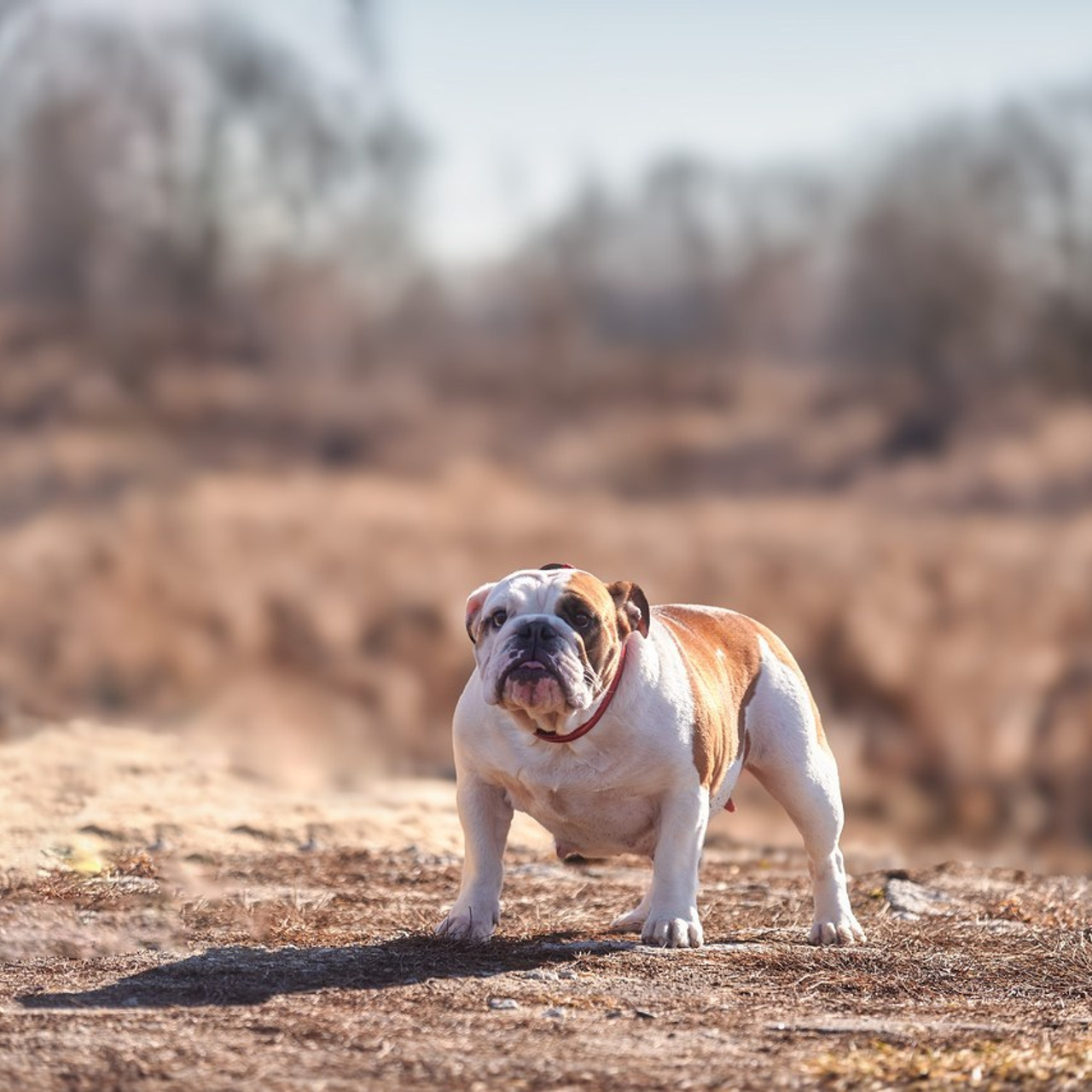 Отзывы. Андрей Баскевич пейзажный и travel-фотограф в Зеленограде