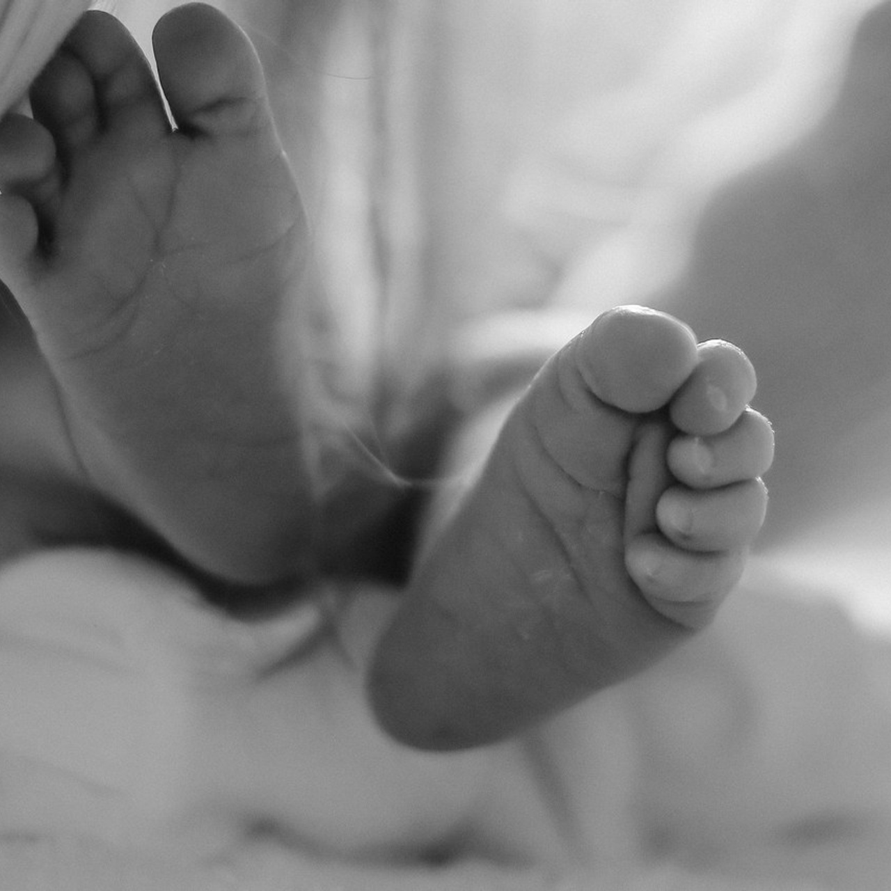 Отзывы. Фото и Видео в Краснодаре Verveyko Studio