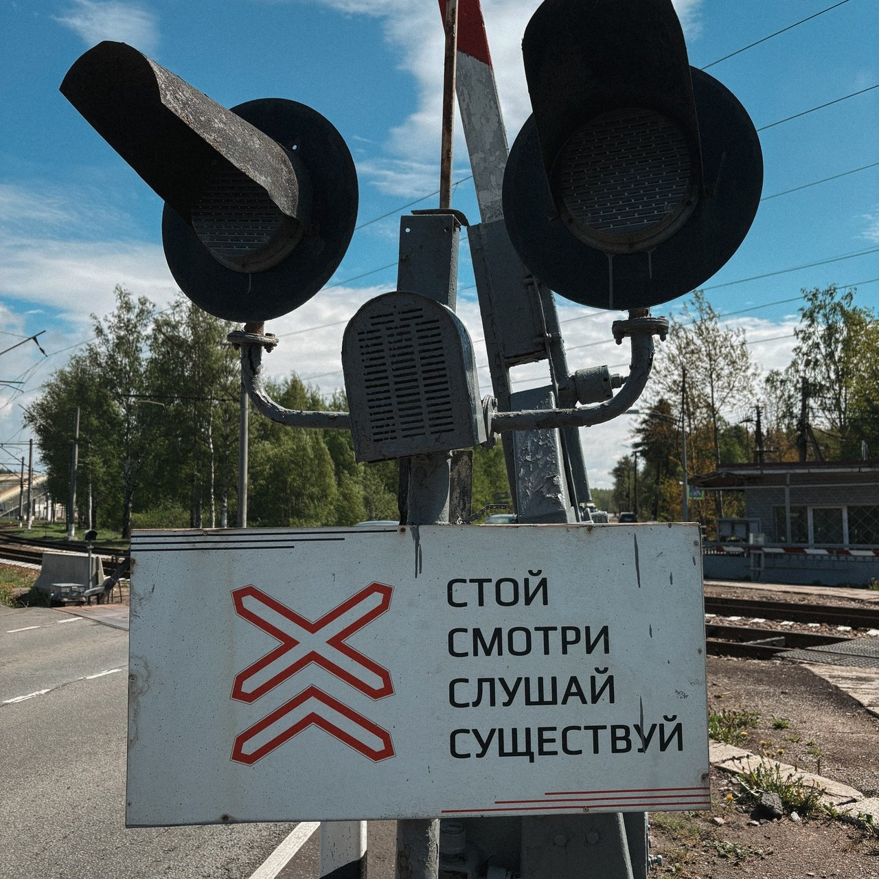 Отзывы. Фототерапия