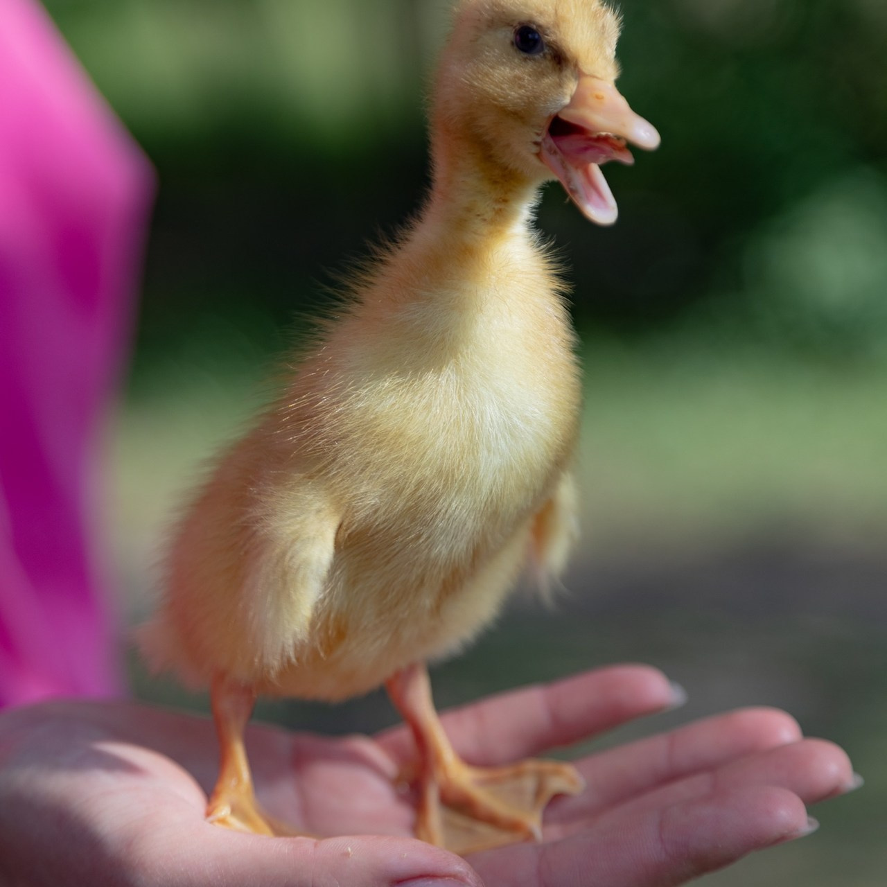 Отзывы. Главная