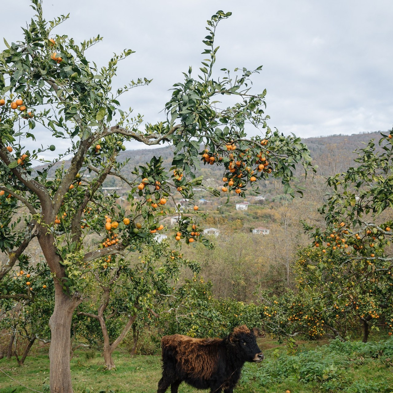 Профессиональный фотограф в Волгодонске и Ростове Владимир Казак