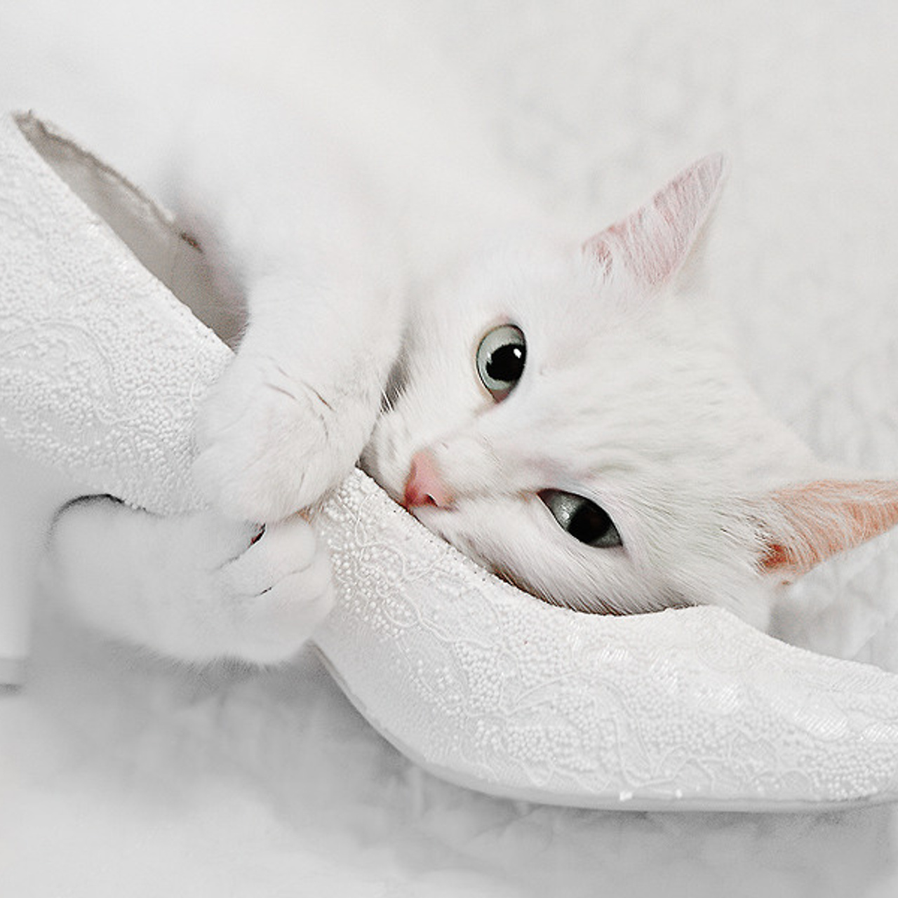 Наставничество. Фото и видео контент в Сочи, фотограф, видеограф Сочи