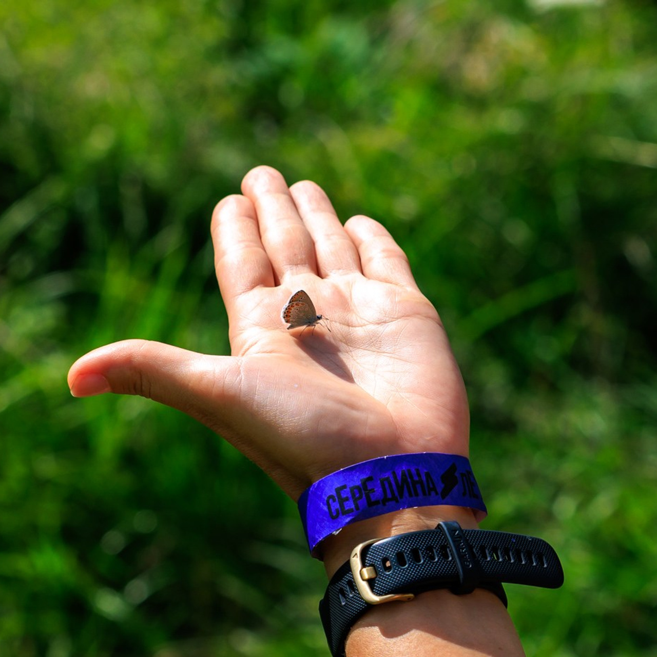 «Горная страна в миниатюре» — экологическая тропа