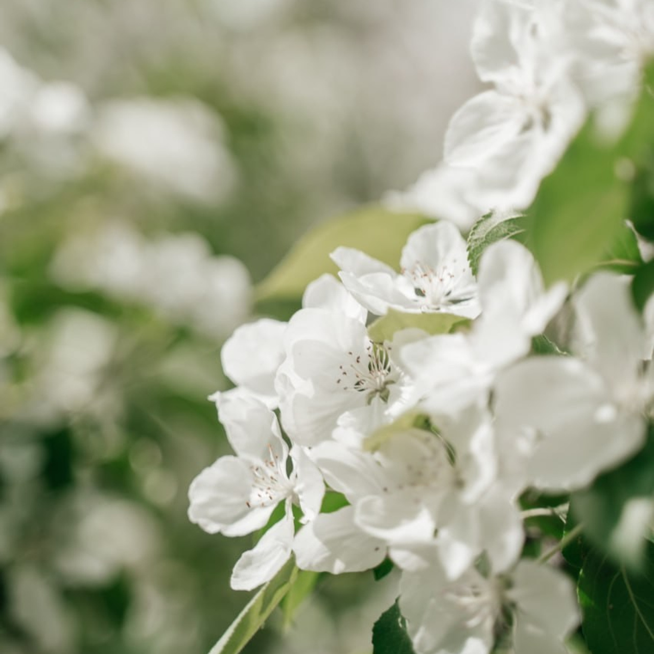 Отзывы. Семейный и свадебный фотограф Мария Нетребко г. Калининград