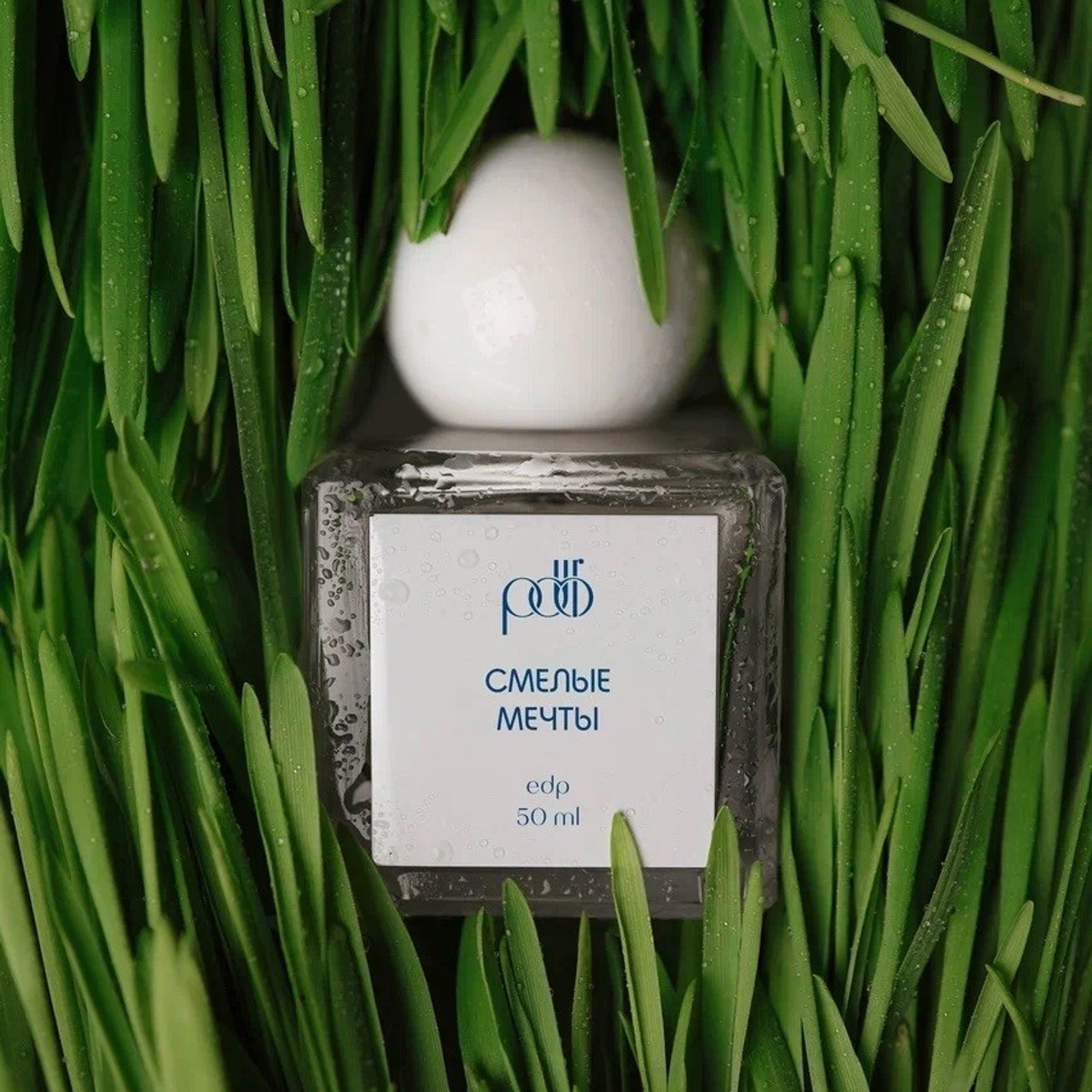 Стилизация и организация съемок. Даша Здорова координатор