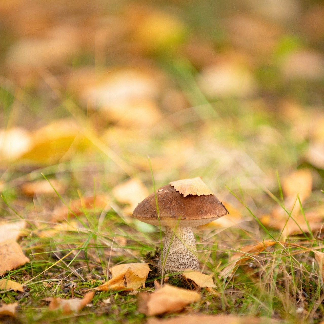 Отзывы. Детский и семейный фотограф в Сургуте и Нефтеюганске Анна Старцева