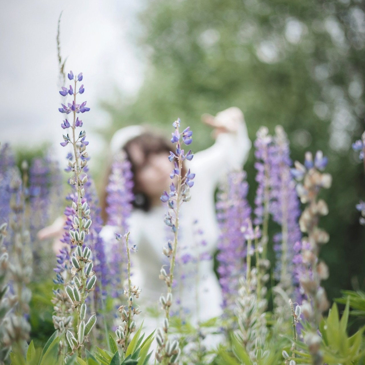 Отзывы. Александр Волков