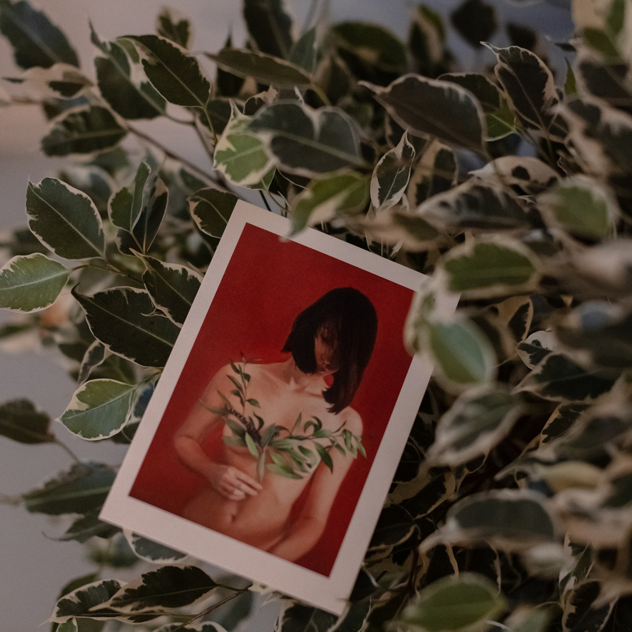 Jaggi space. Выставка Саши Соколовой