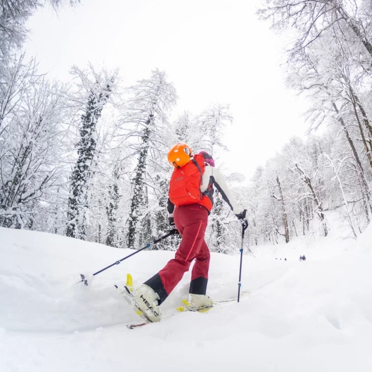 Отзывы. Горный фотограф в Красной Поляне