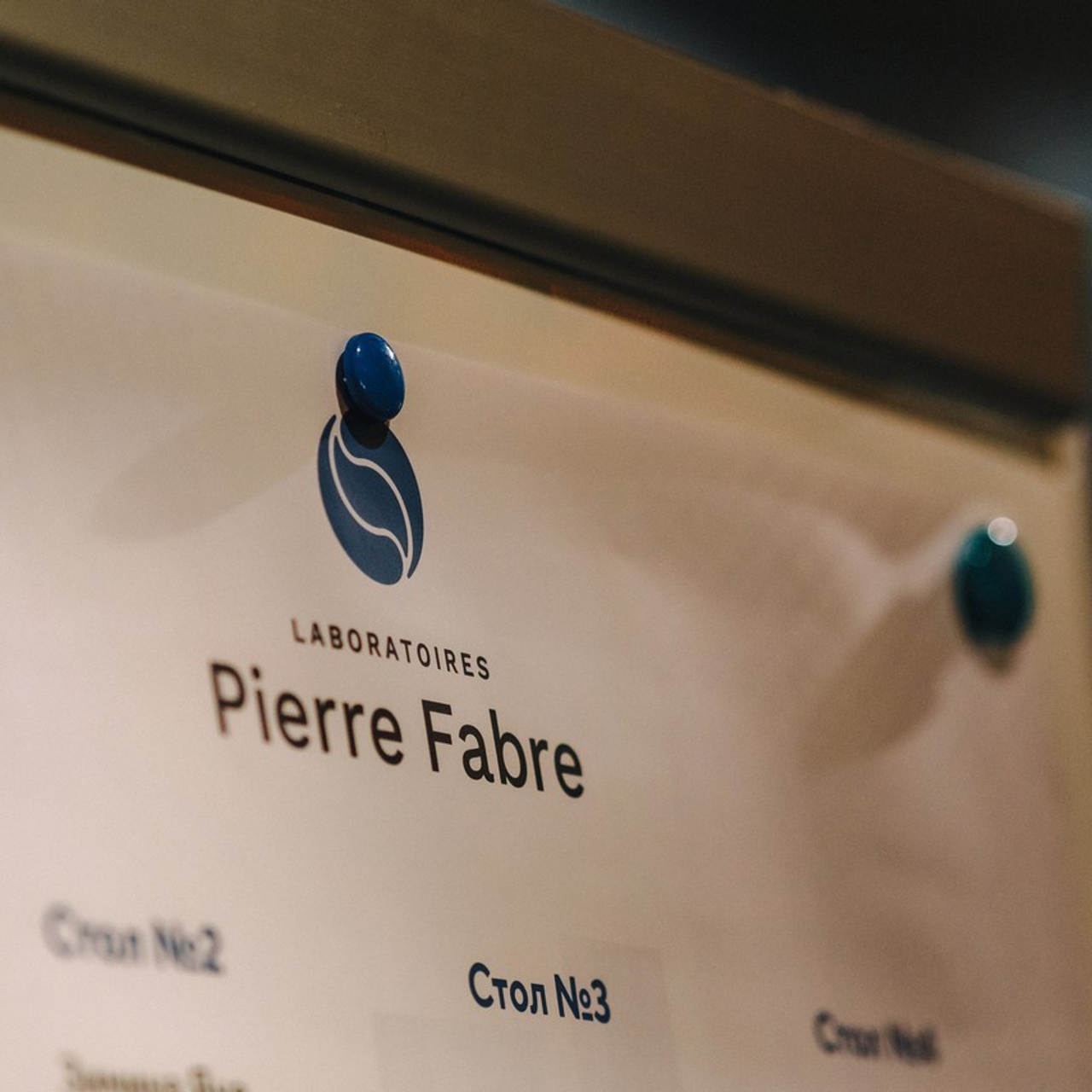 FEEDBACK. Фотограф Перминов Никита СПБ