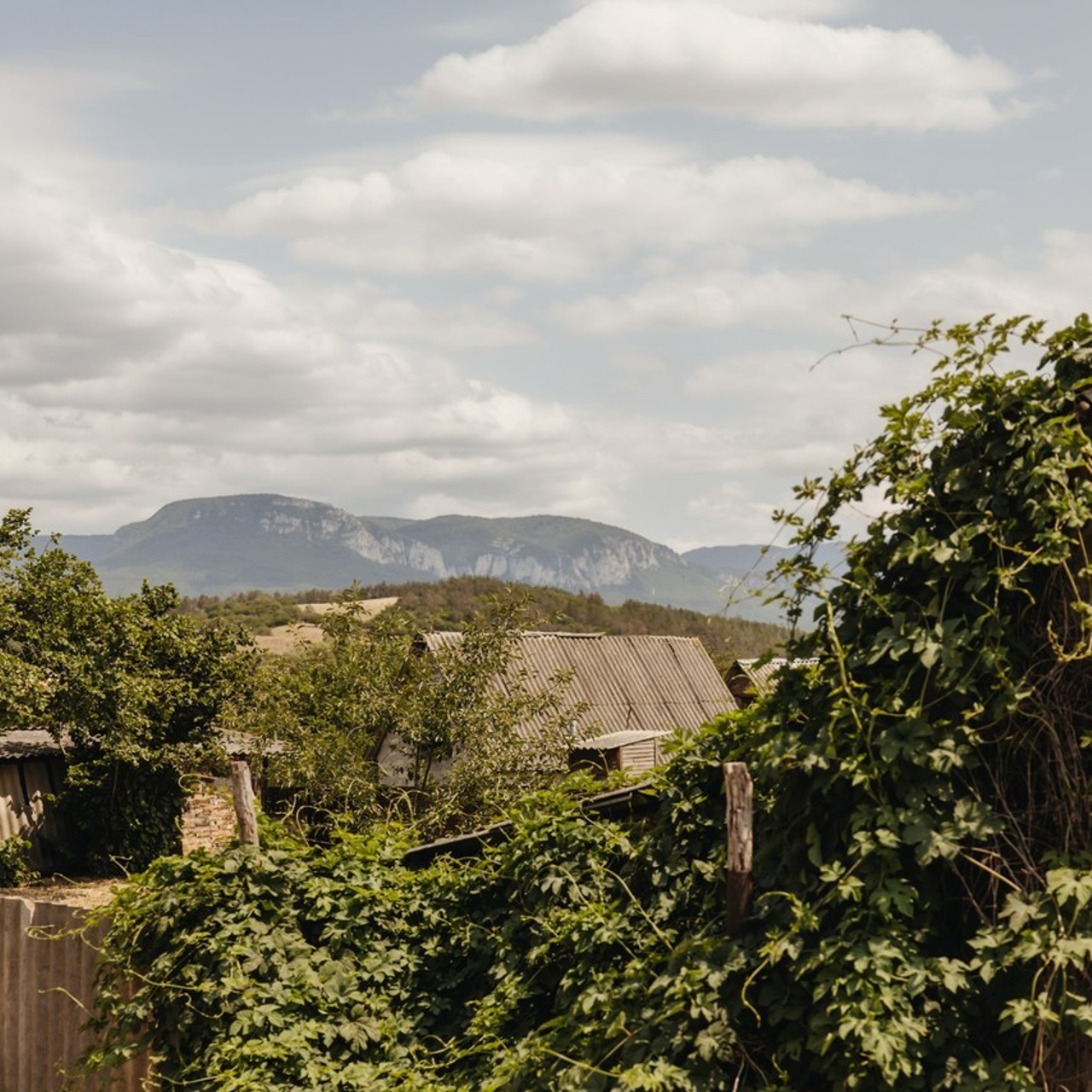 Отзывы. Свадебный и семейный фотограф и видеограф в Крыму | Алёна Межевова