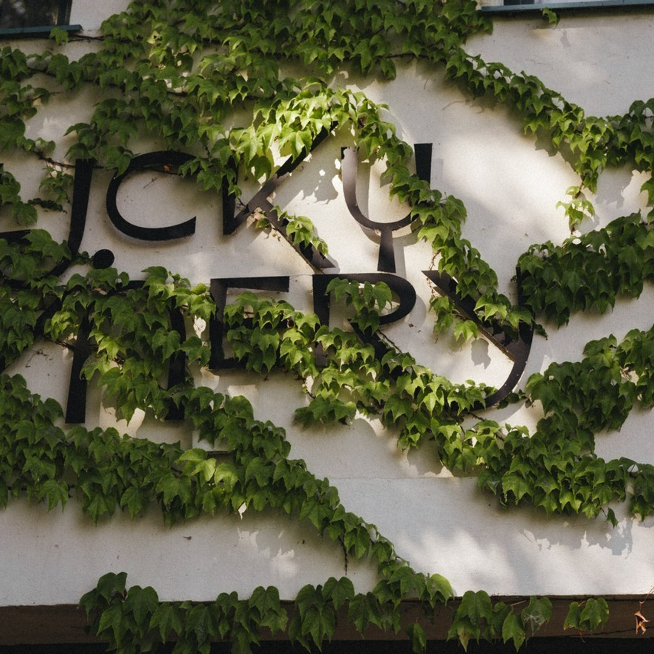 Отзывы. Свадебный и семейный фотограф и видеограф в Крыму | Алёна Межевова