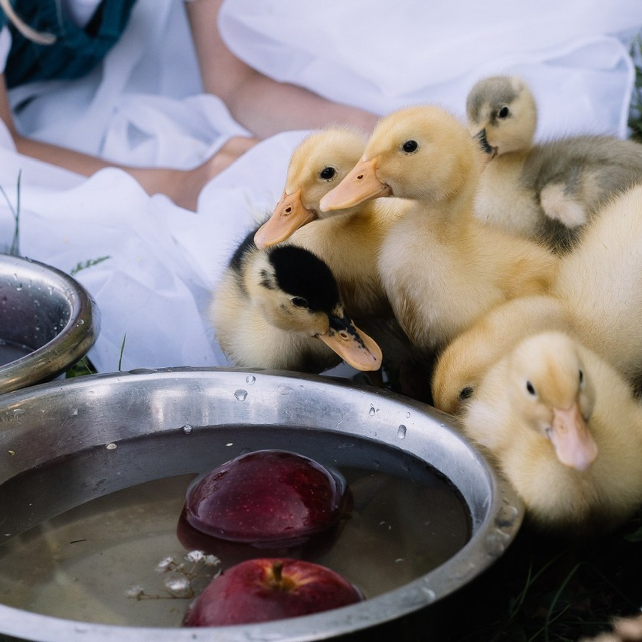 Отзывы. Фотограф Регина Даниловна Усть — Катав