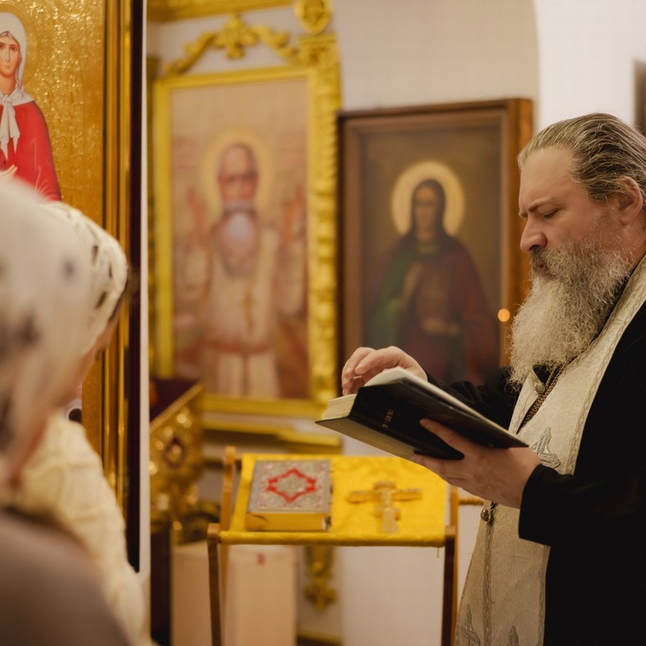 Отзывы. Иван Волохов