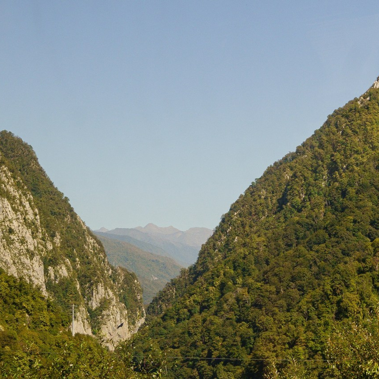 Отзывы. Репортажный Фотограф в Сочи и Москве Алексей Орлов
