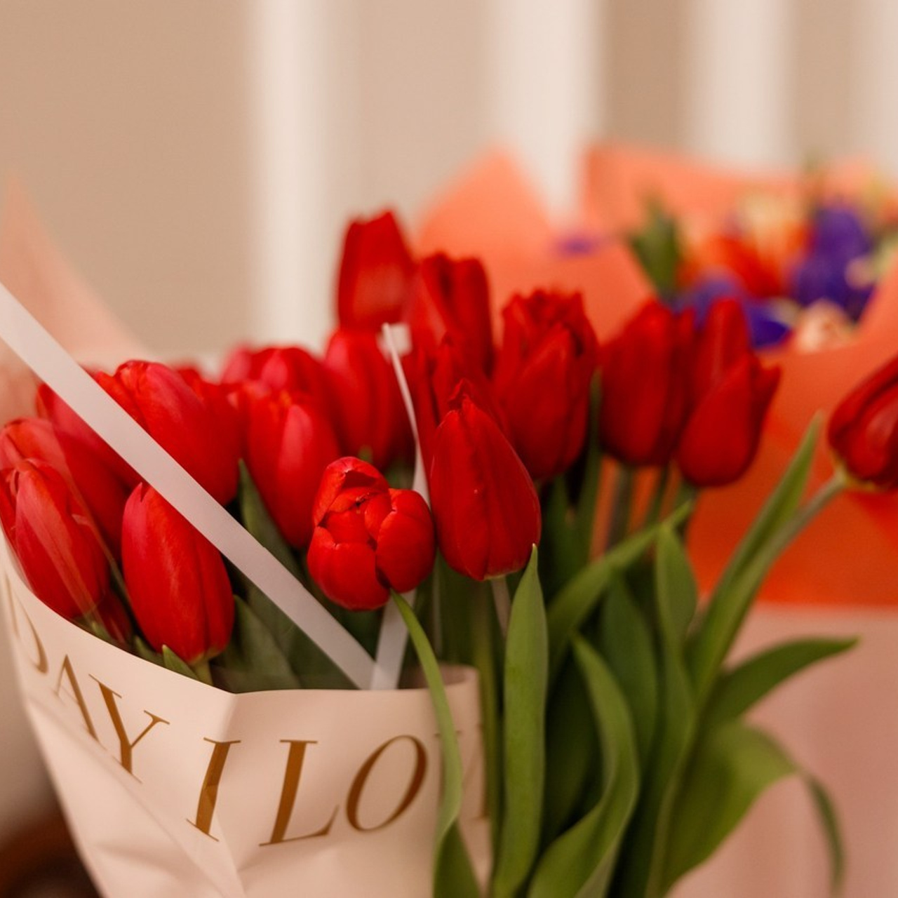 Отзывы. Репортажный Фотограф в Сочи и Москве Алексей Орлов