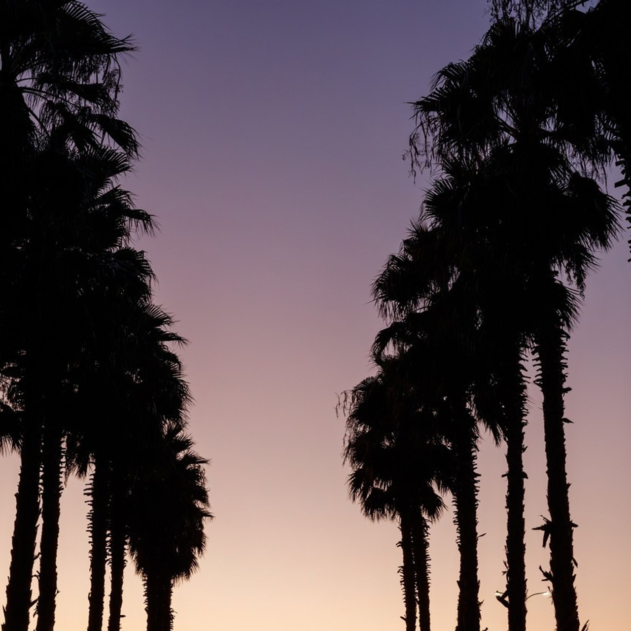 Отзывы. Репортажный Фотограф в Сочи и Москве Алексей Орлов