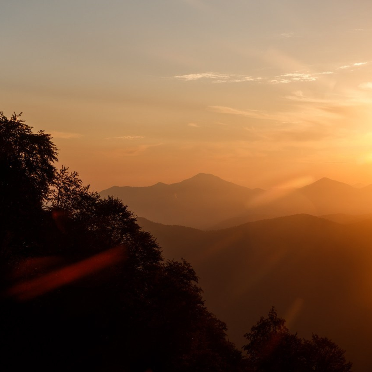 Отзывы. Репортажный Фотограф в Сочи и Москве Алексей Орлов