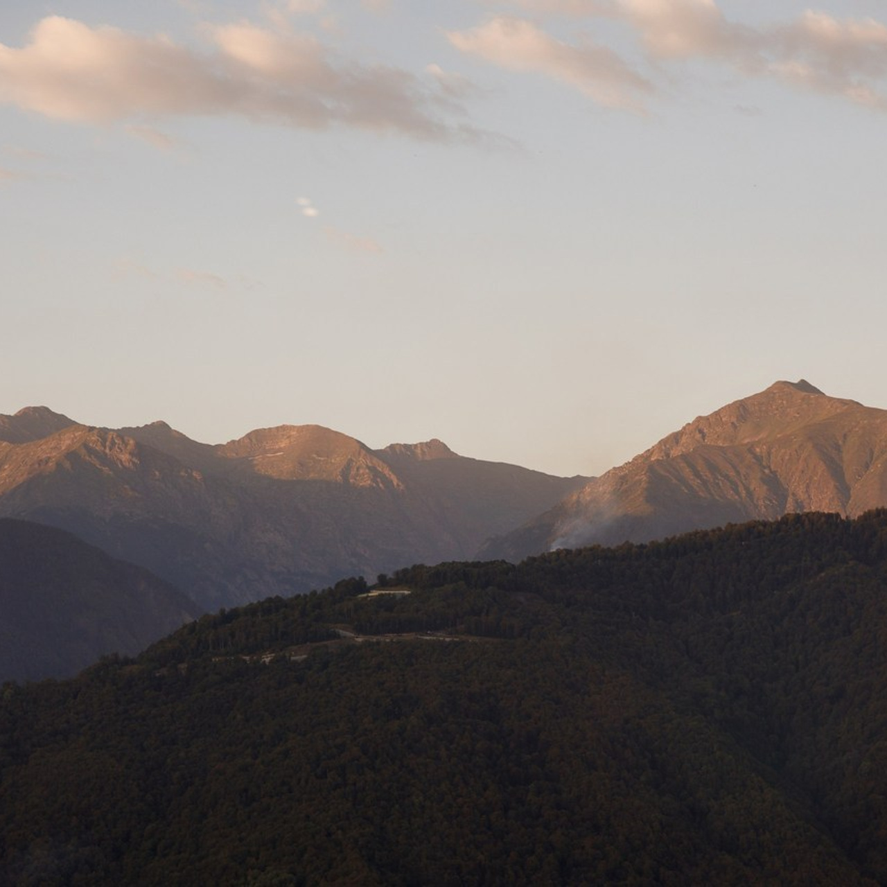 Отзывы. Репортажный Фотограф в Сочи и Москве Алексей Орлов