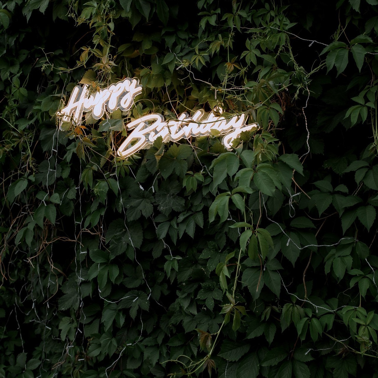 Отзывы. Свадебный фотограф Казань Айсылу Рамиловна