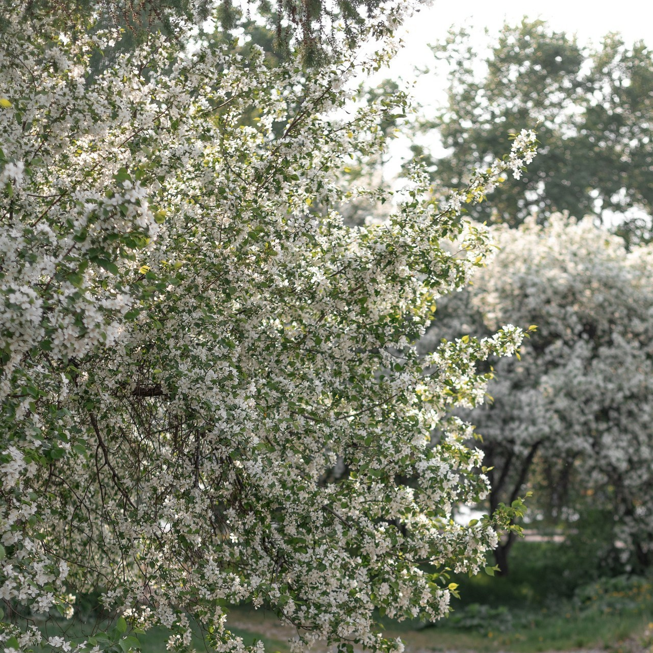 Отзывы. Свадебный и семейный фотограф в Иркутске