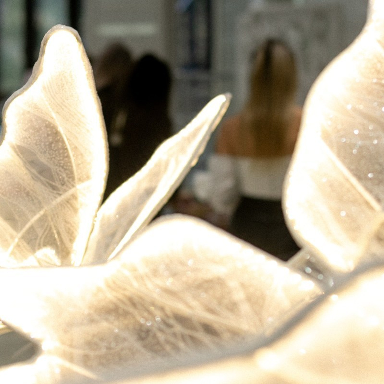 Отзывы. Свадебный и семейный фотограф в Иркутске