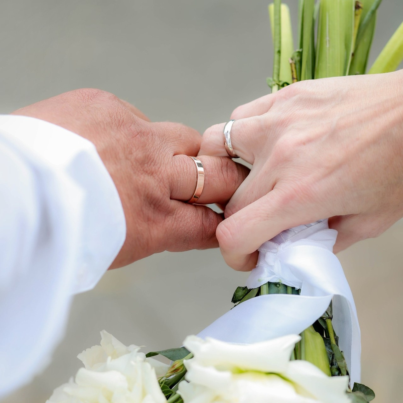 Отзывы. Alexsaphoto.ru