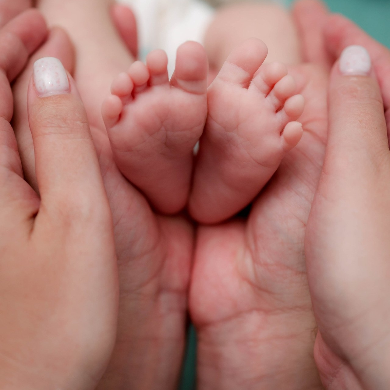 Отзывы. Alexsaphoto.ru