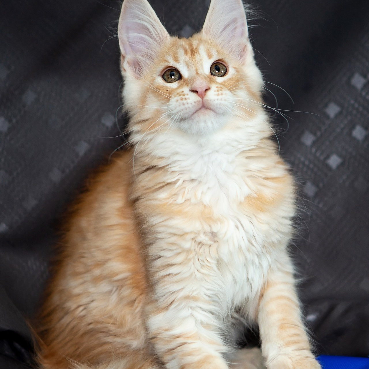 Отзывы. Фотограф в Оренбурге Ксения Немира