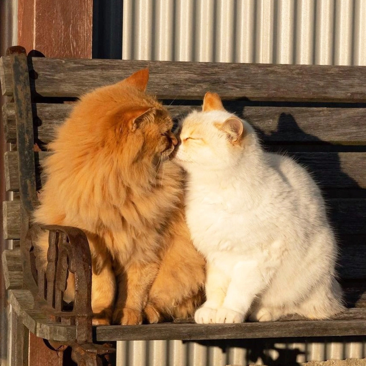 Отзывы. Фотограф Анастасия Федорченко г. Москва
