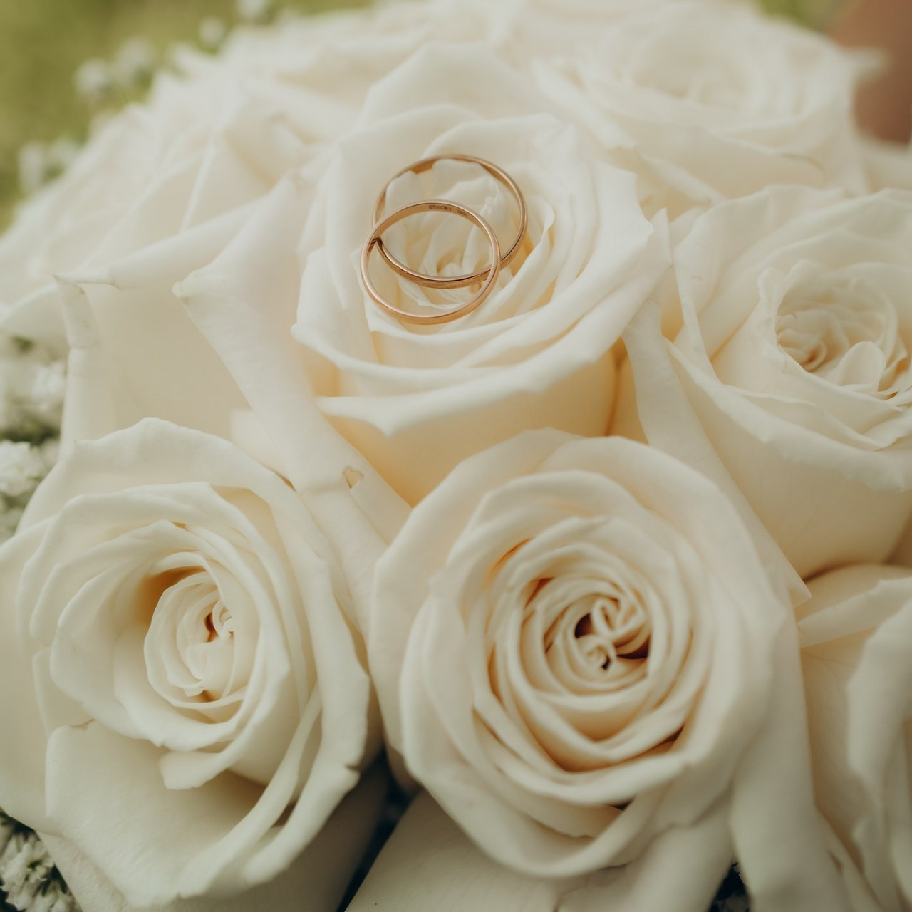 Отзывы. Фотограф в Сортавала Антонина Музалева