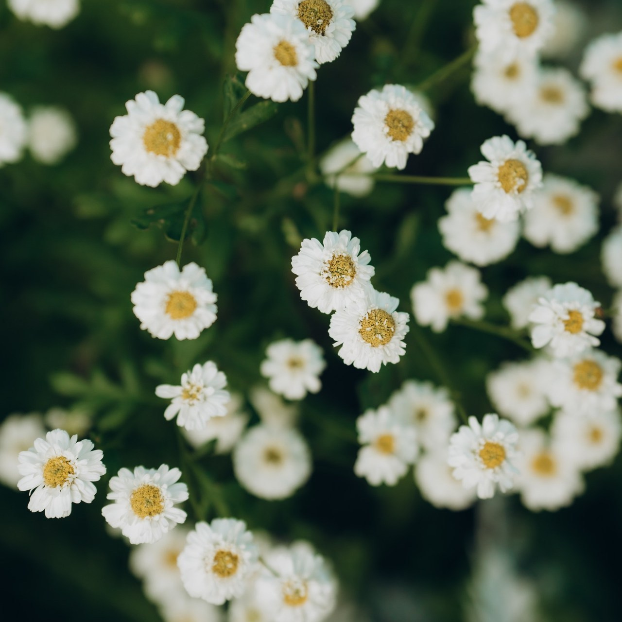 Отзывы. Фотограф в Сортавала Антонина Музалева
