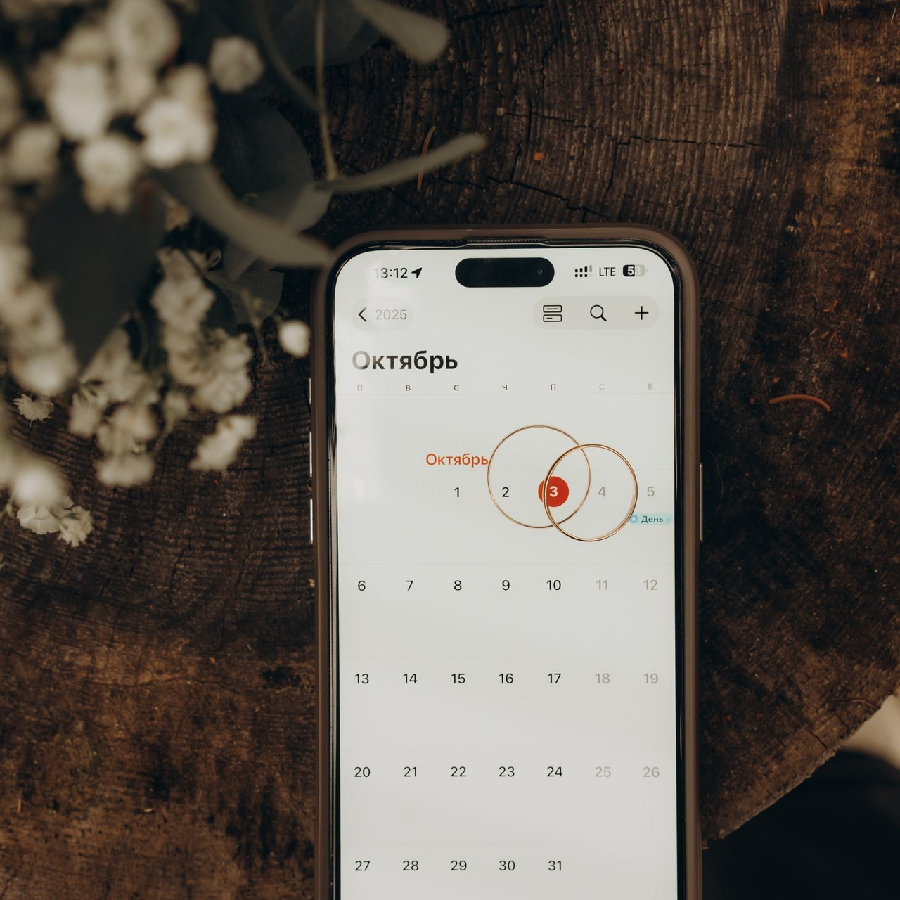 Отзывы. Фотограф в Сортавала Антонина Музалева
