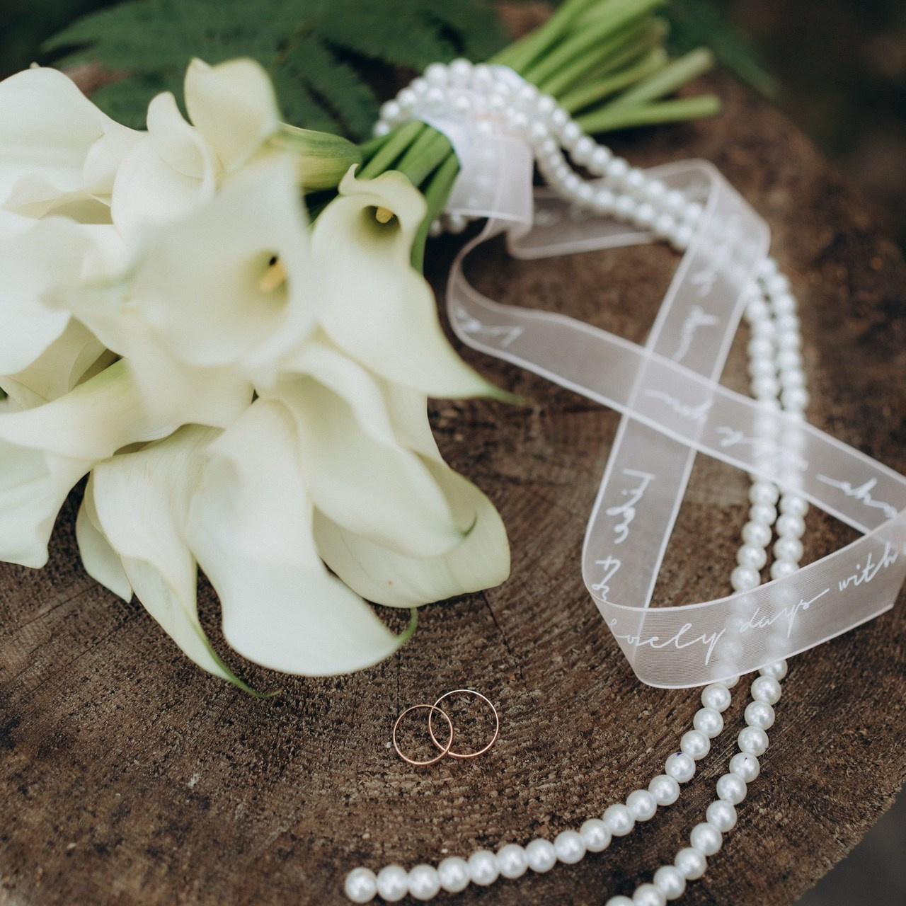 Отзывы. Фотограф в Сортавала Антонина Музалева