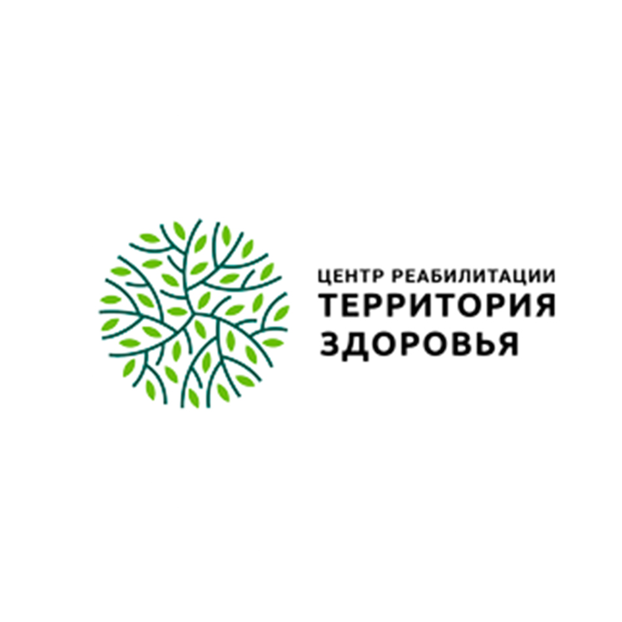 Компании, Клиенты которые доверяют — Vision-media