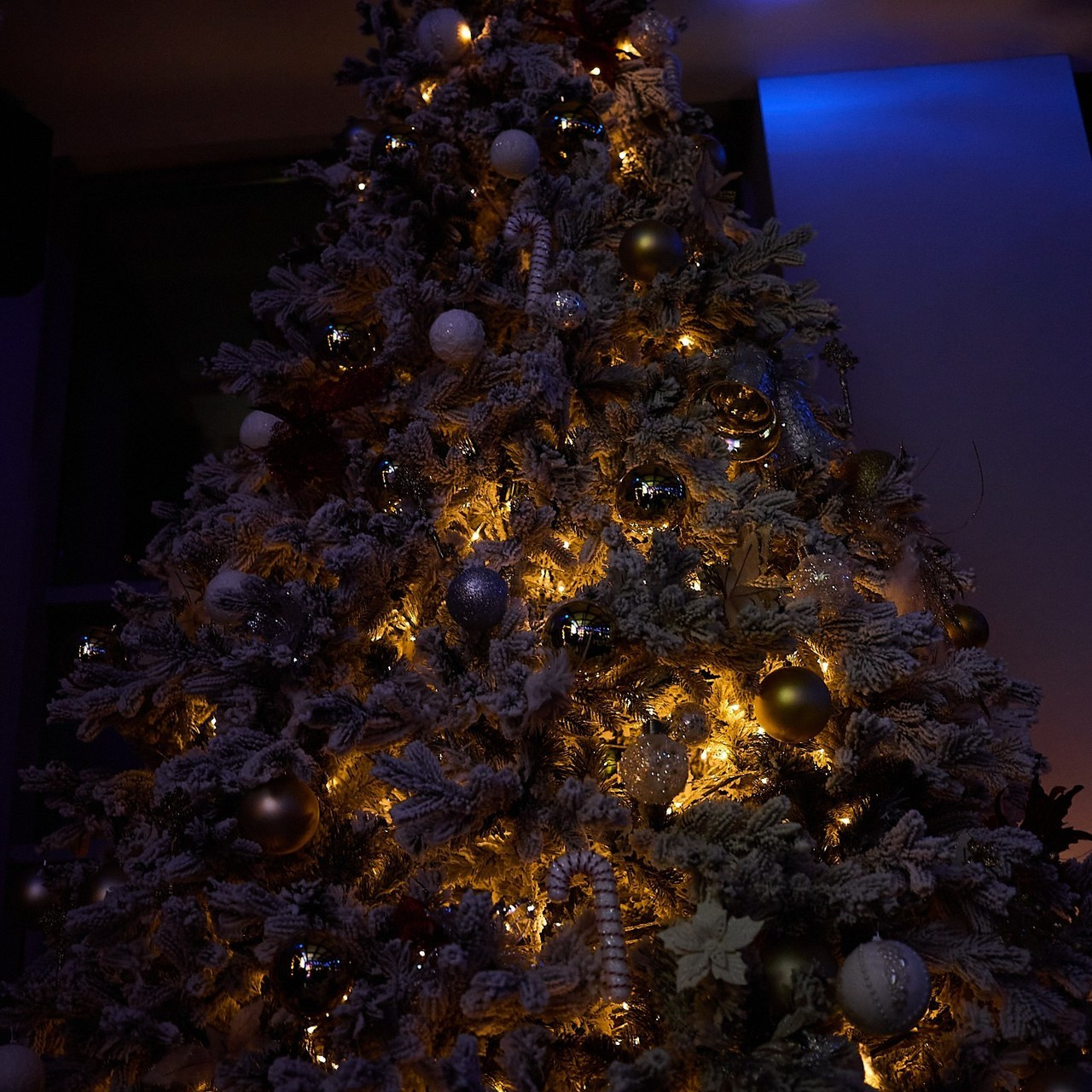 Отзывы. Фотограф и Видеограф в Москве. Олег Корушев