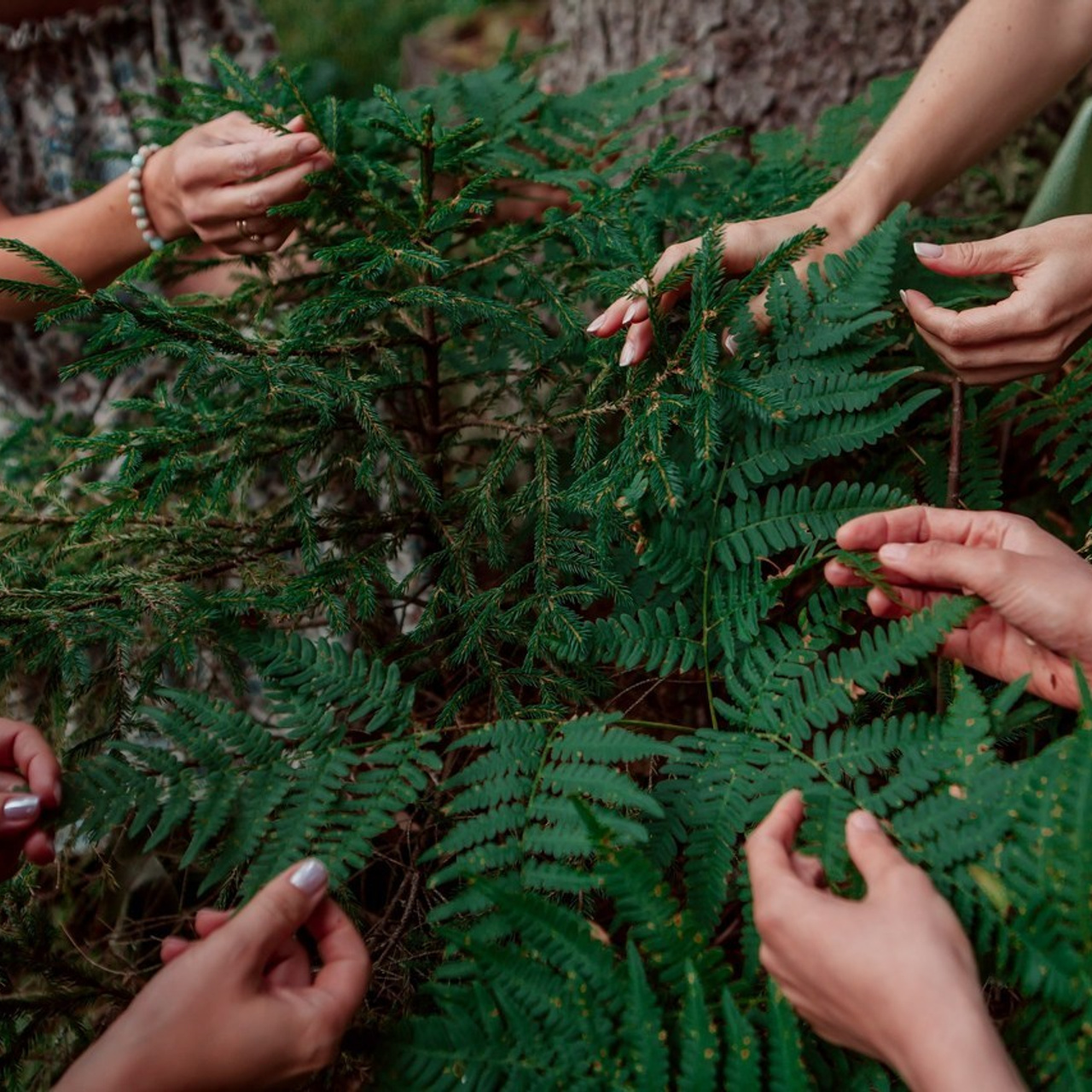 Отзывы. Репортажный Фотограф в Санкт-Петербурге Светлана Мосиенко